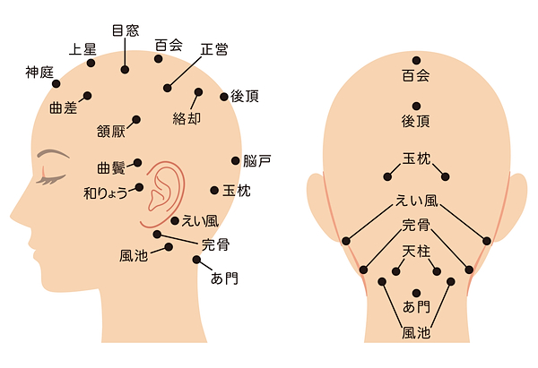 ツボの画像